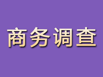 铜陵商务调查